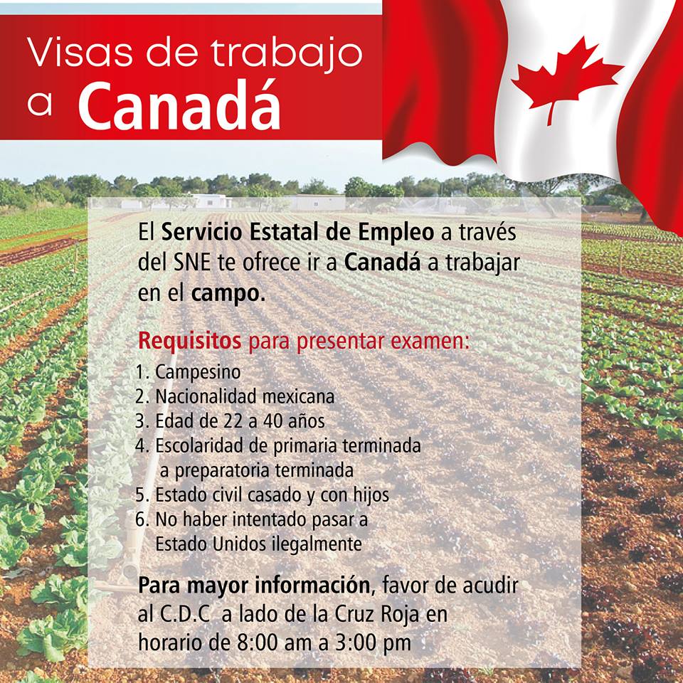 Requisitos para permisos de trabajo canadienses 1 requisitos para permisos de trabajo canadienses