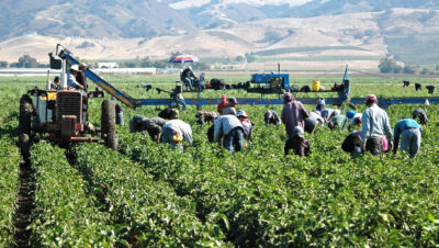 empleos agricolas en canada 20