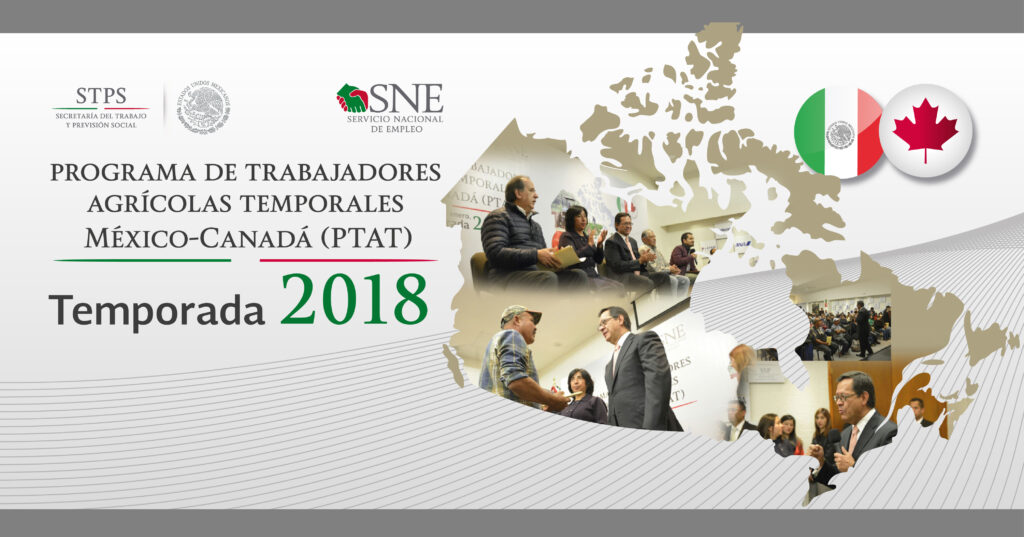 Programas de trabajo temporal Canadá 3 programas de trabajo temporal canada